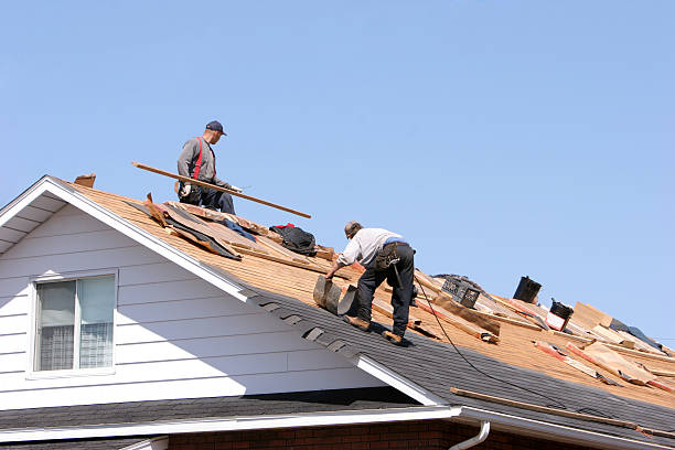 Best Roof Moss and Algae Removal  in Tara Hills, CA